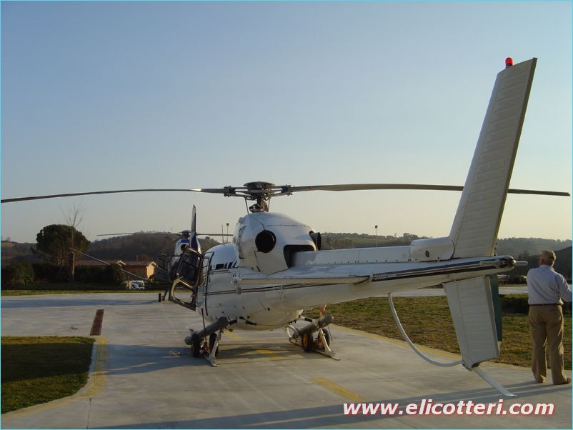 elifoto (67)